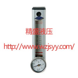 CYW系列传感式液位液温计